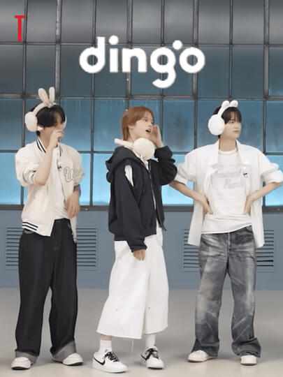 dingo